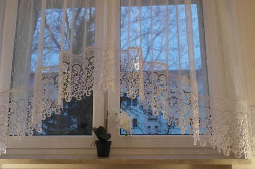 Apartament Wo?odyjowskiego