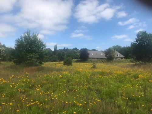 Apartamento Het Achterhuis