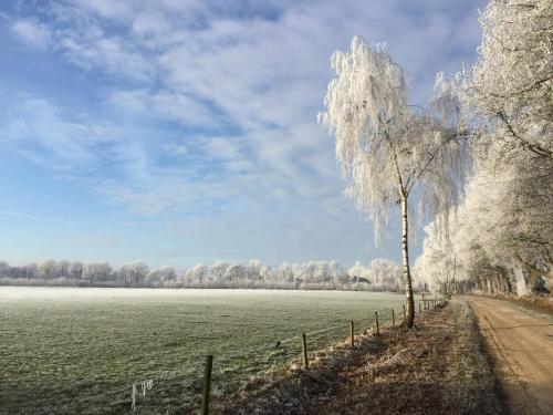Apartamento Het Achterhuis