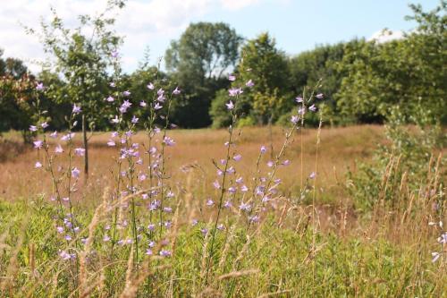 Apartamento Het Achterhuis
