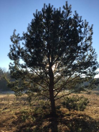 Apartamento Het Achterhuis