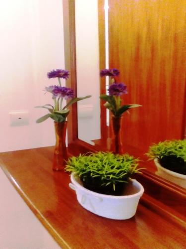 Apartamento Casa Brito Maritenda