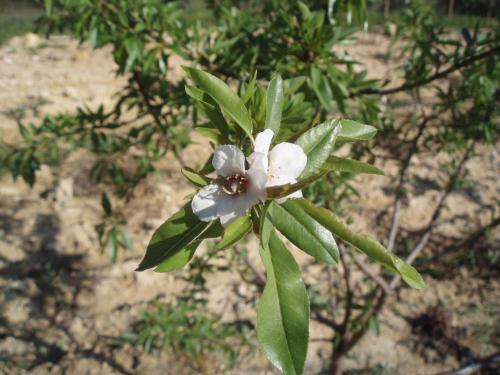 Apartamento Casa Brito Maritenda