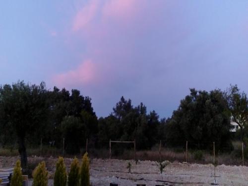 Apartamento Casa Brito Maritenda