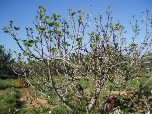 Apartamento Casa Brito Maritenda