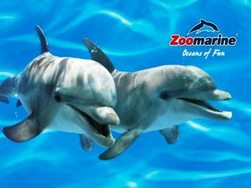 Apartamento Casa Brito Maritenda