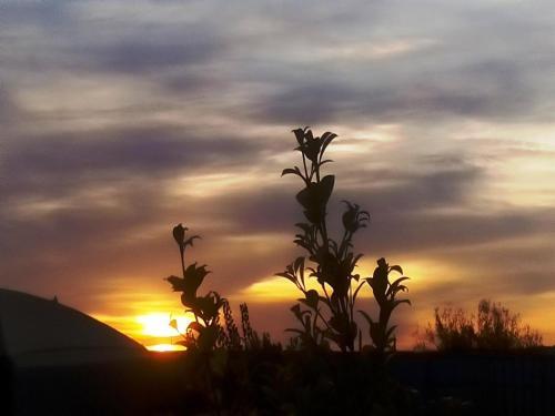 Apartamento Casa Brito Maritenda