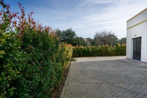 Apartamento Casa Brito Maritenda