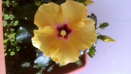 Apartamento Casa Brito Maritenda