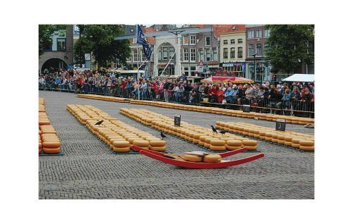 Holiday Apartment Crab 04