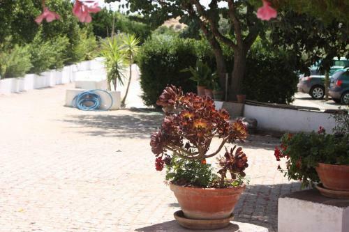 Quinta Dos Pegados