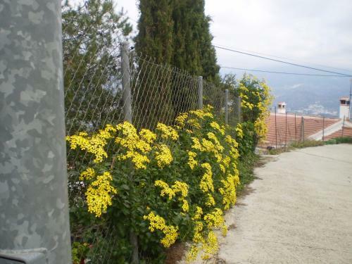 Agroturismo La Atalaya De Los Romanes