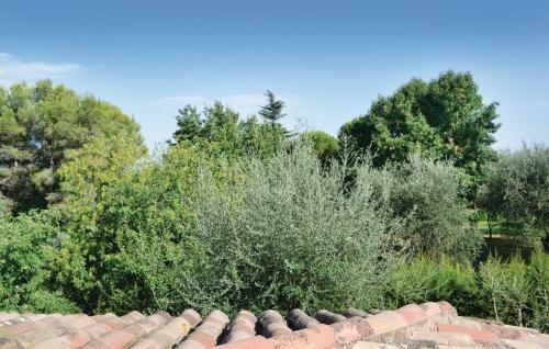 Holiday Home Le Rouret With A Fireplace 09