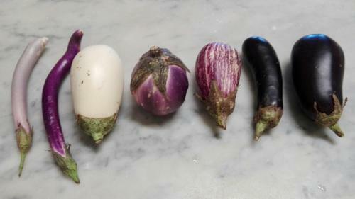 Bed & Breakfast Locanda Stella