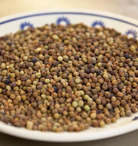 Bed & Breakfast Locanda Stella