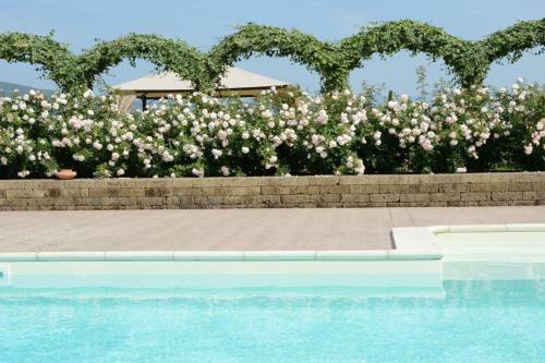 Bed & Breakfast Il Fienile Di Assisi