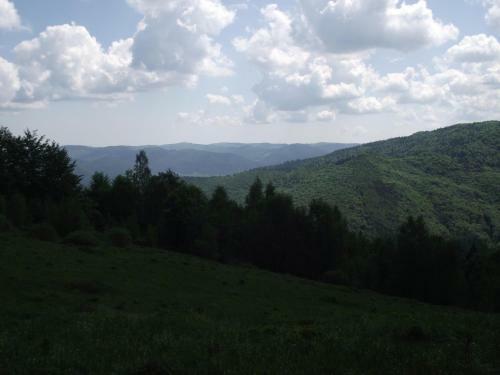 Hostal Guesthouse U Deda Viktora