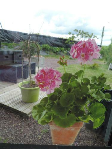 Bed & Breakfast Villa Des Hortensias