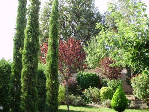 Bed & Breakfast Villa Clairelou