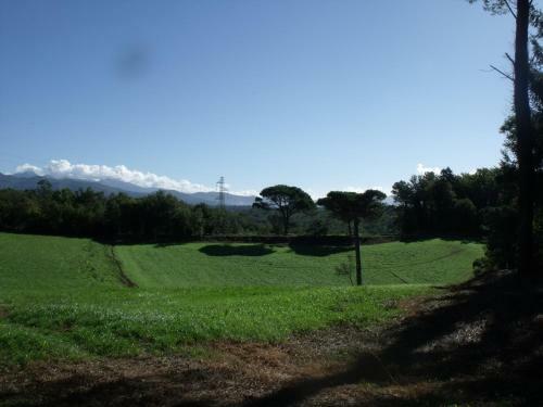 Agroturismo Agriturismo Podere Montese