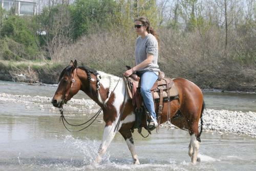 Hotel Cowboys Guest Ranch