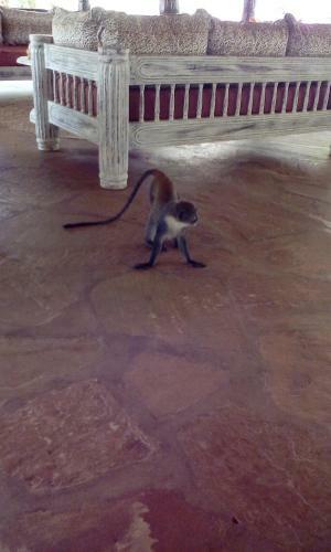 Hostal Villa Fortuna Malindi