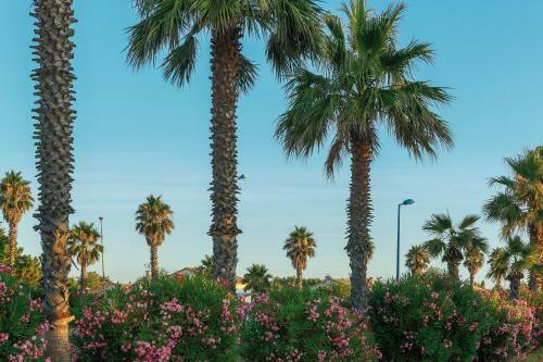 Camping La Pergola