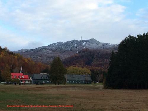 Bb Saffron Tremblant