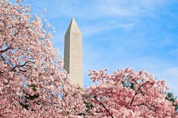 Hotel Hyatt Place Dc/downtown/k Street