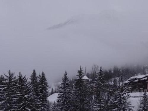 Rental Apartment Val�riane - Valmorel XI