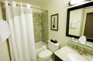 Hotel Holiday Inn Boston-dedham