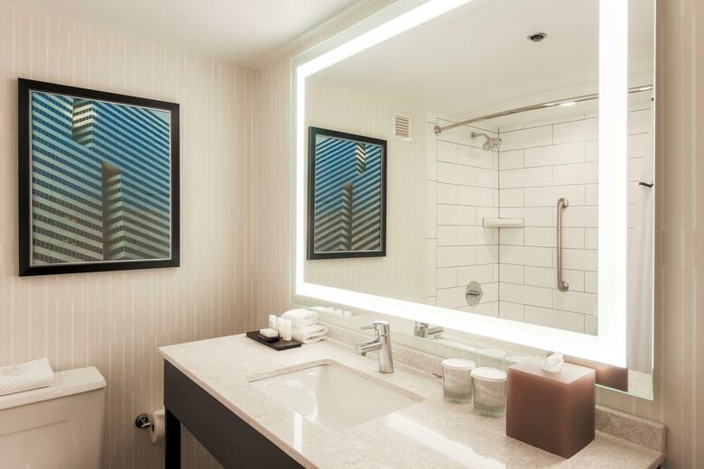 Hotel Embassy Suites Dallas - Love Field