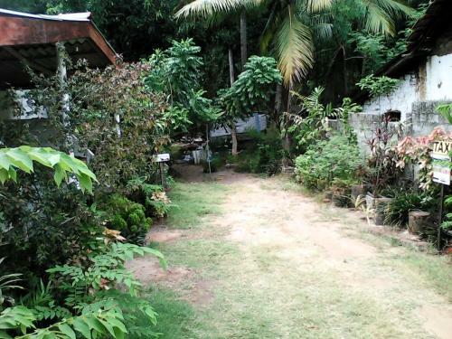 Hostal Lotus Inn Tourist Resort