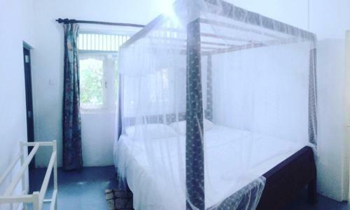 Hostal Villa Way To Freedom