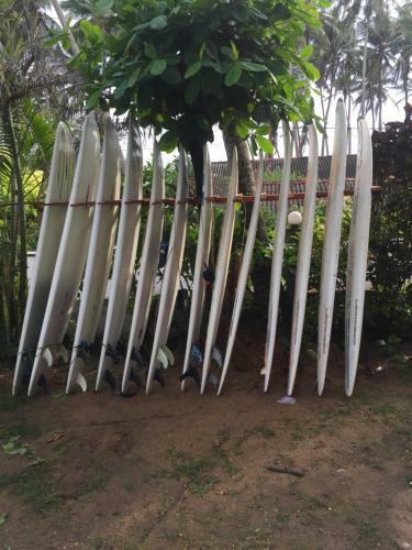 Surf Lanka Hotel