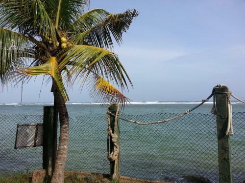 Hostal Sayuri Beach Hotel