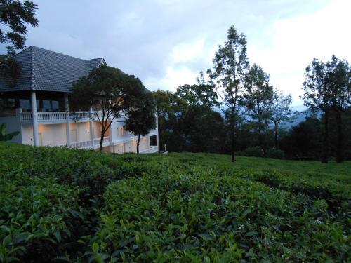 Hotel Tea Harvester