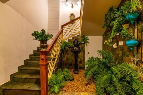 Hotel Tea Harvester