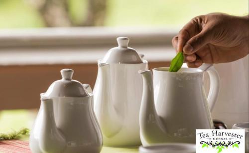 Hotel Tea Harvester