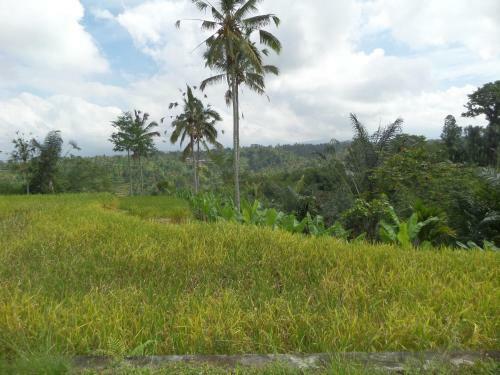 Senetan Villas And Spa Resort