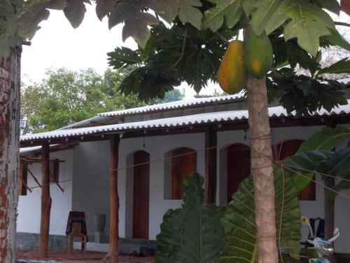 Bed & Breakfast Dolce Vita Surf Rest Point