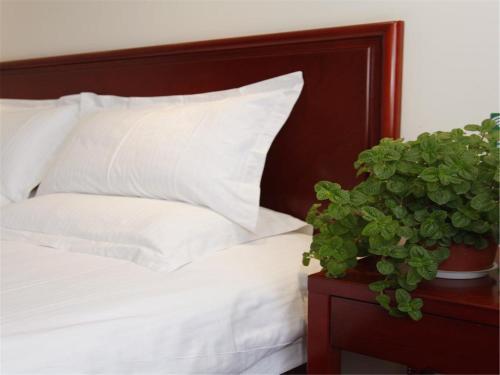 Hotel Greentree Inn Dalian Airport