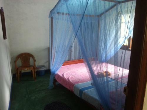 Posada Surf Mount Plant Inn Midigama