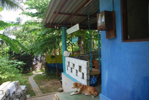 Posada Surf Mount Plant Inn Midigama