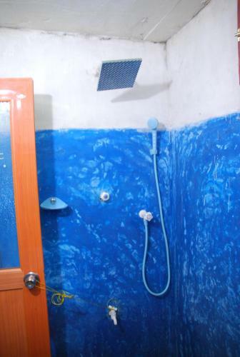 Posada Surf Mount Plant Inn Midigama