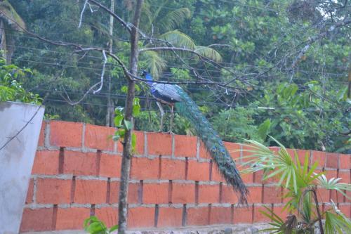 Lavendra Villa Mirissa