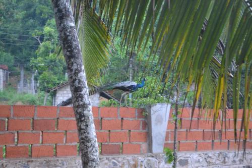 Lavendra Villa Mirissa