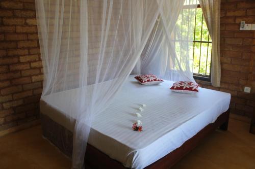 Villa Surf & Yoga Mirissa