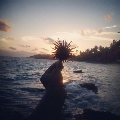 Sunstyle Mirissa Guest House