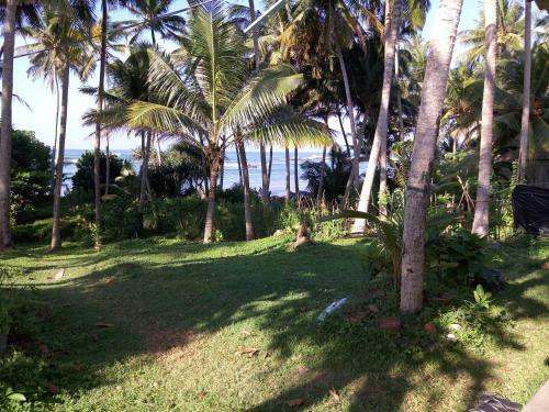Hostal Sunray Rest - Beach View Homestay